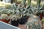 _DSC0059